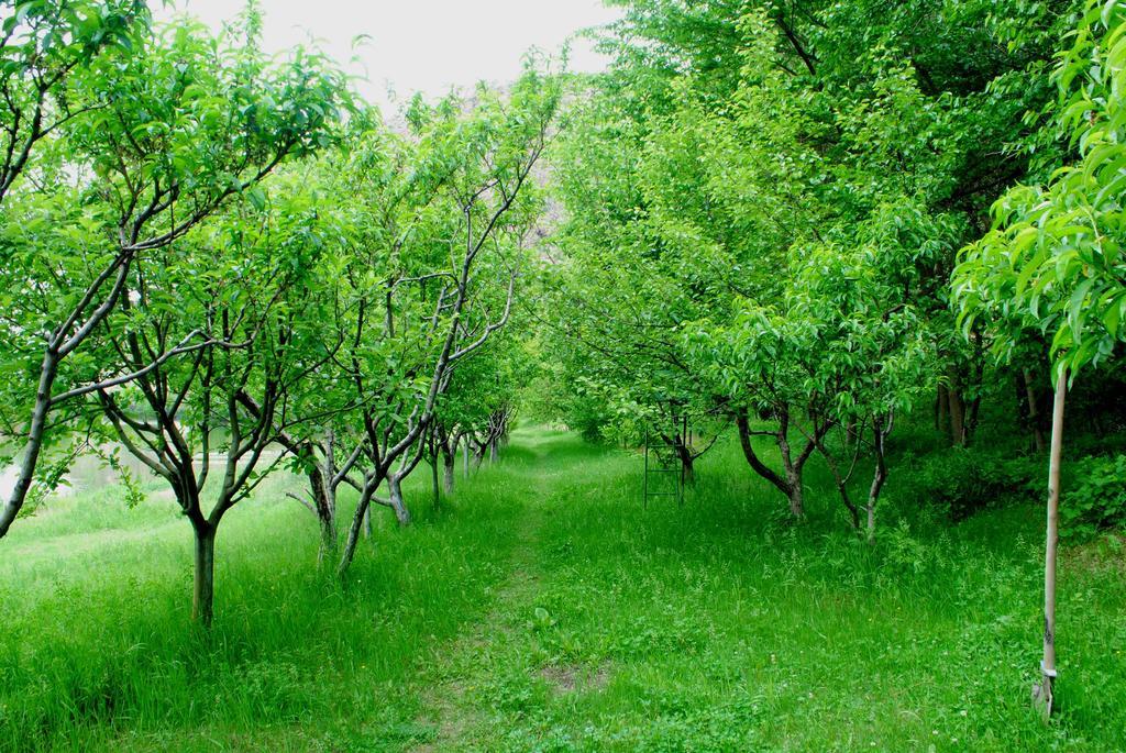 Park-Hotel Khoren'S Lake Areni Екстериор снимка
